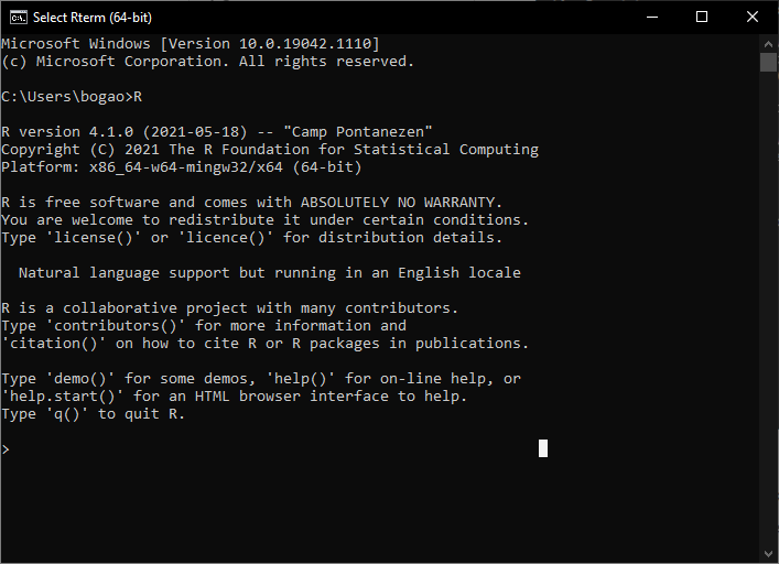 Screenshot: Access R REPL on command line